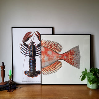 Half Spotted Fish Tail Print | 61x61 in Homewares from Oriana B www.orianab.com