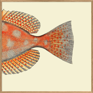 Half Spotted Fish Tail PrintOriana BHomewares