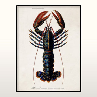 Lobster Print | 2 Sizes Available in Homewares from Oriana B www.orianab.com