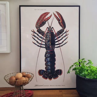 Lobster Print | 2 Sizes Available in Homewares from Oriana B www.orianab.com