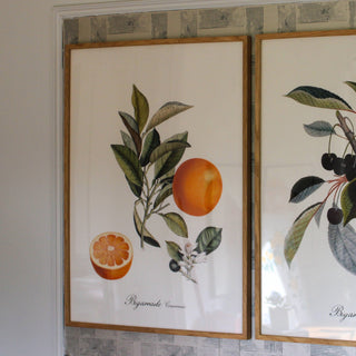 Orange with Leaves Print | 2 Sizes Available in Homewares from Oriana B www.orianab.com