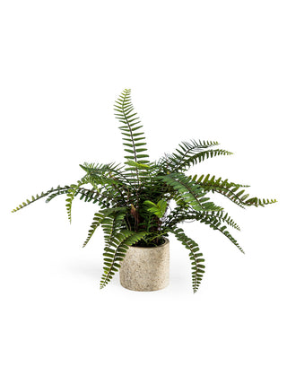 Ornamental Potted Faux Fern Plant in Homewares from Oriana B www.orianab.com