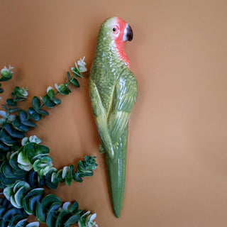Ceramic Parrot Wall DecorOriana BHomewares