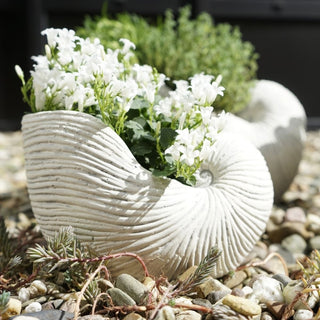 Planter Shell | White brushedOriana BHomewares