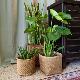 Rope Plant Pot | Large in Archived from Oriana B www.orianab.com