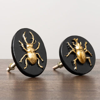 Gold and Black Insect Door Knobs | Set of 2Oriana BHomewares