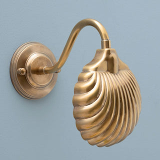 Scallop Shell Wall Light in Archived from Oriana B www.orianab.com