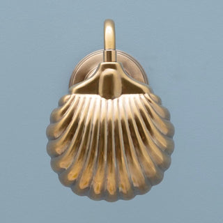 Scallop Shell Wall Light in Archived from Oriana B www.orianab.com