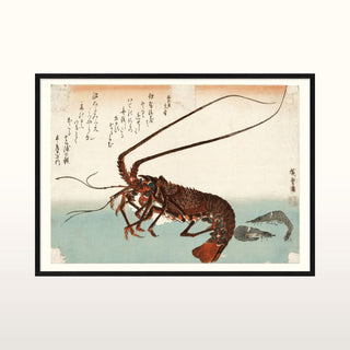 Spiny Lobster Print | 50x70 in Archived from Oriana B www.orianab.com