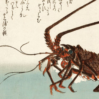 Spiny Lobster Print | 50x70 in Archived from Oriana B www.orianab.com