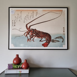 Spiny Lobster Print | 50x70 in Archived from Oriana B www.orianab.com