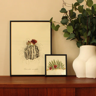 Square Cactus Mini Print | 17x17 in Homewares from Oriana B www.orianab.com