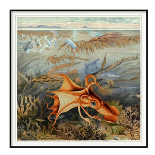 Squid Print | 61x61 | END OF LINE in Archived from Oriana B www.orianab.com