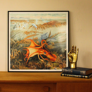 Squid Print | 61x61 | END OF LINE in Archived from Oriana B www.orianab.com