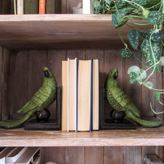 Tropical Parrot Bookends on Black Stands in Homewares from Oriana B www.orianab.com