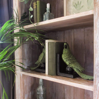 Tropical Parrot Bookends on Black Stands in Homewares from Oriana B www.orianab.com