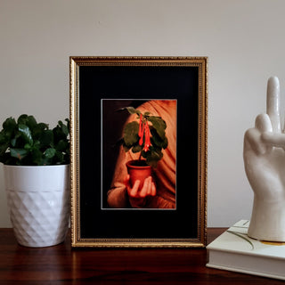 Vignette Plant Print | 30x21 in Homewares from Oriana B www.orianab.com