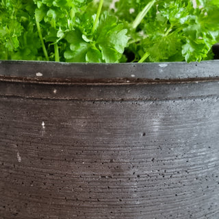 Wide Black Planter in Archived from Oriana B www.orianab.com