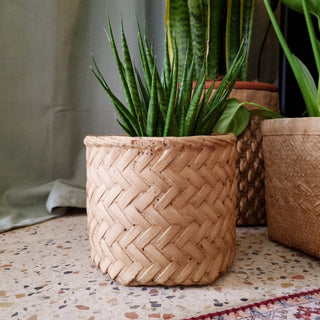 Woven Plant Pot | Small in Archived from Oriana B www.orianab.com